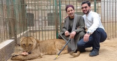 حكاية الأسد "عدى" وزوجته "نانسى" وأول لقاء بـ ابنه الشبل مع "فتحى شو" محمد فتحي عبد الغفار