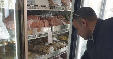 ضبط 10.5 طن أسماك فاسدة ولحوم ودواجن غير صالحة للاستهلاك بالجيزة