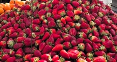 أسعار الفاكهة بأسواق مطروح اليوم السبت 1-2-2025.. الفراولة بـ20 جنيها