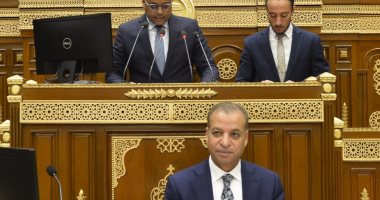 الشيوخ يبدأ مناقشة خطة الحكومة لرفع كفاءة قطاع التأمين وتسريع التحول الرقمى مجلس الشيوخ