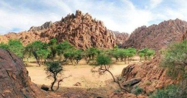 مرسى علم مملكة الطبيعة بالبحر الأحمر