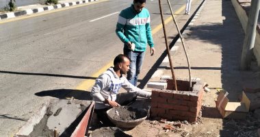 زراعة الأشجار وتطوير أحواض الزراعة بشوارع حي غرب أسيوط