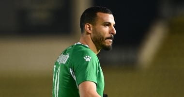 شكرى نجيب