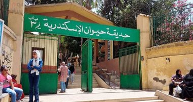 فسحة شتوية وسط الطبيعة.. حدائق الإسكندرية مقصد الزائرين فى إجازة نصف العام