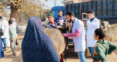 جامعة المنوفية تنظم قافلة طبية بيطرية بقرية كفر أبو الحسن بقويسنا
