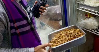 تحرير 707 محاضر تموينى لمخابر مخالفة خلال شهر يناير بالإسكندرية  