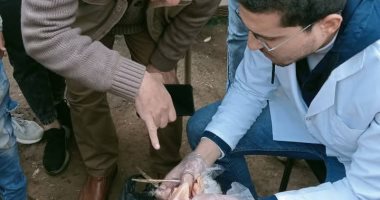 جامعة المنوفية تنظم قافلتين طبية وبيطرية بقريتى اشليم بقويسنا وعزبة راتب بطوخ