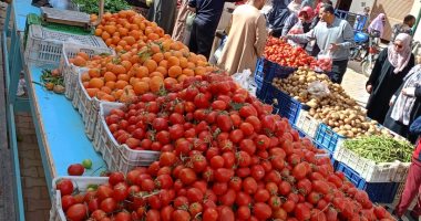 إقبال متزايد على سوق اليوم الواحد بالداخلة وخطة للتوسع فى تنفيذه بكل القرى سوق اليوم الواحد