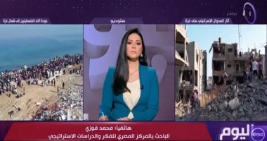 باحث: استمرار تدفق دخول المساعدات الإنسانية لغزة شديدة الأهمية لمقاومة التهجير صورة من المداخلة