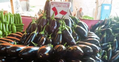سعر الخضار اليوم الخميس 6-2- 2025 بمطروح.. الباذنجان بـ 10 جنيهات