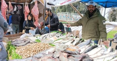 إقبال كبير على شراء الأسماك فى سوق اليوم الواحد بالإسماعيلية.. فيديو سمك بلطى بسوق اليوم الواحد بالإسماعيلية