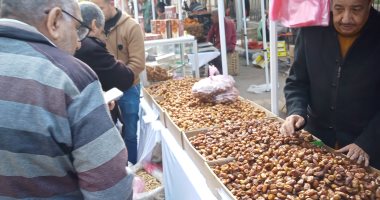 شوارع البحيرة تتزين لاستقبال شهر رمضان.. تعليق الزينة والفوانيس وانتشار بائعى التمور والمخللات.. وافتتاح معارض الهدايا وألعاب الأطفال الرمضانية.. وحياة كريمة تضخ كميات من اللحوم والدواجن بأسعار مخفضة.. صور