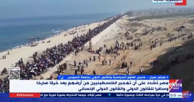 أستاذ علوم سياسية: بيان خارجية مصر يعكس سياستها الثابتة تجاه القضية الفلسطينية