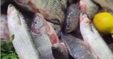 انخفاض أسعار السمك في حلقة العروبة البلطى بـ50 والمكرونة بـ100.. فيديو