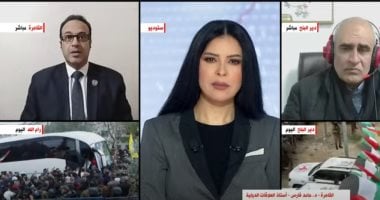 أستاذ علاقات دولية: بيان الخارجية استكمال لمواقف مصر الداعمة للدول العربية