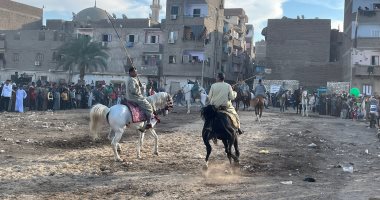 "عينك مش هتجيب نهايته".. شاهد أكبر مرماح فى الصعيد بمولد القنائى