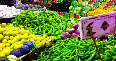 أسعار الخضراوات اليوم الأحد 9-2- 2025 بمطروح.. البسلة بـ15 جنيها