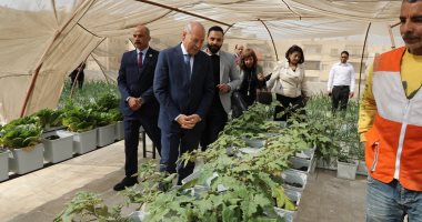 محافظ القاهرة يوجه بتعميم تجربة زراعة الأسطح بالأسمرات.. صور