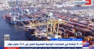 خبير يوضح تفاصيل تصدر مصر للمركز الرابع عالميا فى إنتاج محصول البصل