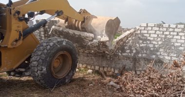 إزالة 11حالة تعدِ على مساحة فدان أملاك دولة بالتل الكبير بالإسماعيلية