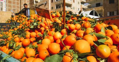 أسعار الفاكهة اليوم الاثنين 10-2-2025 بأسواق مطروح