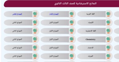  النموذج الاسترشادى فى اللغة العربية