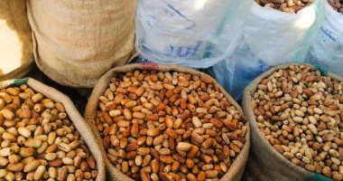 أسعار البلح السيوى اليوم بأسواق مطروح.. الناشف يتراوح بين 25 و40 جنيهاً  