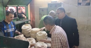 ضبط أكثر من 9 أطنان سماد ومنتجات وسلع متنوعة وتحرير 204 مخالفات بالدقهلية