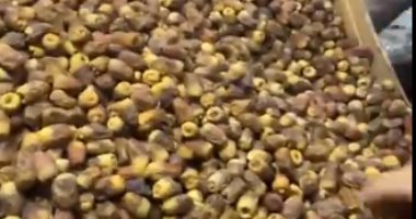 البلح بـ10 جنيهات.. إقبال كبير على معرض أهلا رمضان فى بورسعيد (فيديو)