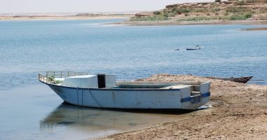 سمك الصحرا طازة وكله فوسفور.. أرخص كيلو بلطى فى مصر بسعر 25 جنيها من خيرات مفيض باريس بالوادى الجديد.. طرح كميات وفيرة فى منافذ البيع الحكومية بمدن وقرى المحافظة مع حلول شهر رمصان