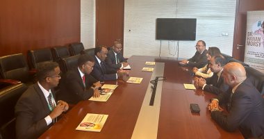 وزير الخارجية يلتقي وزير الدولة للشئون الخارجية الصومالي 