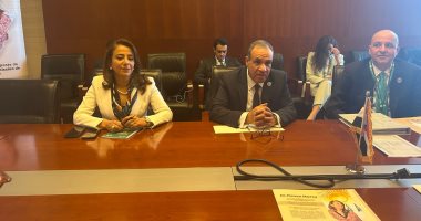 بدر عبد العاطى يبحث مع وزيرة خارجية مدغشقر تعزيز التعاون الاقتصادى والتجارى