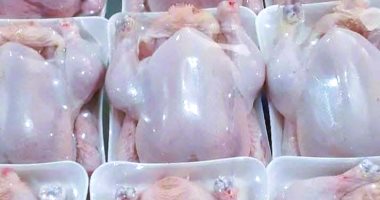 سعر الفراخ البيضاء اليوم الأربعاء 12-2- 2025 بأسواق مطروح.. الكيلو بـ 90 جنيه