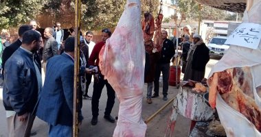 محافظ المنيا: ضبط 722 مخالفة خلال حملات تفتيشية تموينية مكبرة على الأسواق والمخابز