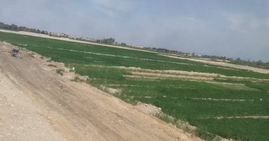 استرداد حالتى تعدى على أملاك الدولة بمساحة 319 ألف متر فى قرية المحاميد بأرمنت.. صور