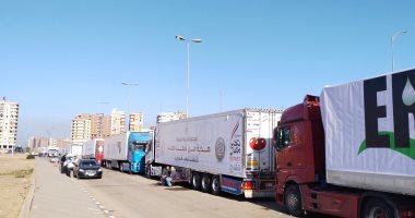 "هدية من أهل القليوبية لأشقائنا فى غزة".. 30 حاوية مواد غذائية وطبية لأبناء فلسطين