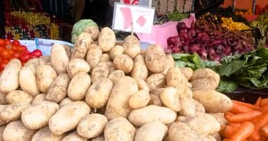 سعر الخضار اليوم اليوم الخميس 13-2- 2025 بمطروح.. البطاطس بـ 10 جنيهات