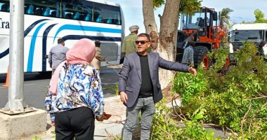 رفع 15 طن تراكمات وقمامة بحملة نظافة وتجميل بطريق المسار السياحى بالبياضية.. صور