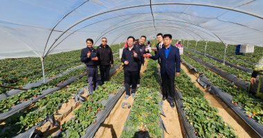 وفد الجمارك الصينية يزور محطات التصدير بالبحيرة ويشيد بجودة صادرات مصر الزراعية