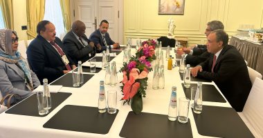 وزير الخارجية يؤكد لنظيره السوداني دعم مصر الكامل للسودان ومؤسساته الوطنية