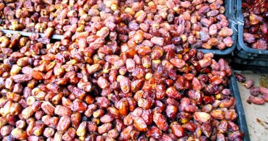 إقبال المواطنين على شراء البلح السيوى في مطروح مع اقتراب رمضان بأسعار مناسبة