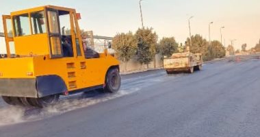 تعرف على موعد انتهاء أعمال رصف وتطوير طريق سعدون فى الشرقية