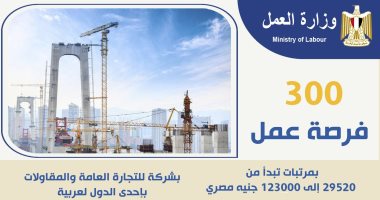 وظائف للمصريين بمرتبات تصل لـ 123 ألف جنيه.. 300 فرصة عمل بإحدى الدول العربية