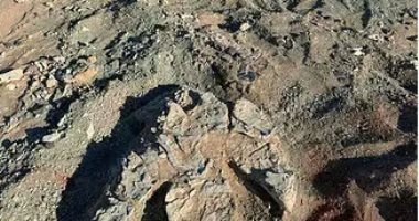 آثار أقدام عملاقة في منغوليا يرجح أنها لأكبر ديناصور ثنائي الأرجل آثار أقدم عملاقة