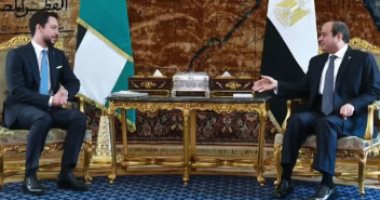 لقاءات هامة للرئيس السيسى حول الوضع فى غزة "فيديو"