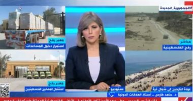 أستاذ علاقات دولية: القاهرة نجحت فى إيجاد دعم حقيقى للقضية الفلسطينية