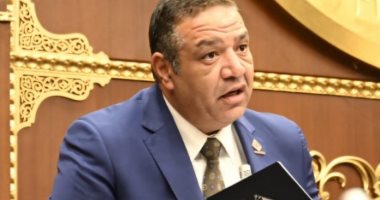 النائب محمد عزمى يؤكد أهمية تمكين الشركات الناشئة وإنشاء مجلس وطنى لريادة الأعمال