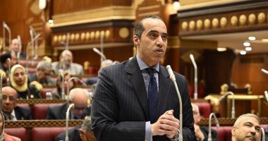 محمود فوزى: مشروعات ريادة الأعمال تعتمد على أفكار تتطلب استراتيجية مدروسة