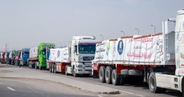محافظ الجيزة عن قافلة مساعدات مصر لغزة: واجب إنسانى وتضامن أخوى قوافل المساعدات