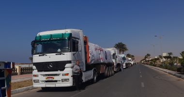 محافظة جنوب سيناء تطلق 15 شاحنة محملة بمواد غذائية وبطاطين إلى غزة.. فيديو الشاحنات محملة بالمواد الغذائية